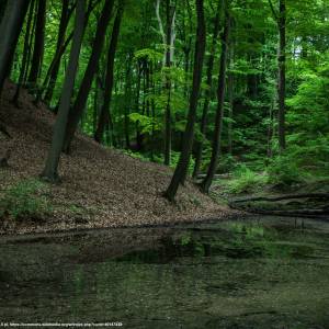 Łagowsko-Sulęciński Park Krajobrazowy - lagowsko sulecinski park krajobrazowy 5