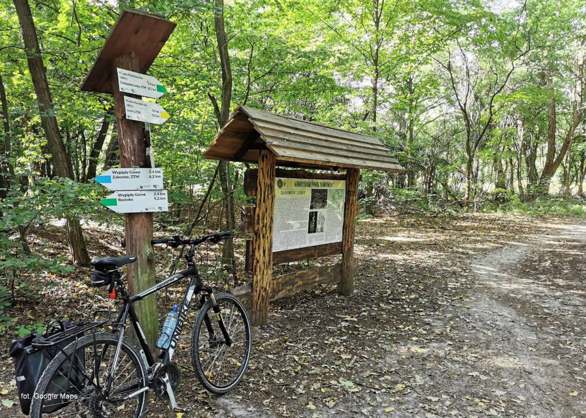 Obszar ochrony ścisłej Zaborów Leśny - obszaer ochrony scislej zaborow lesny2