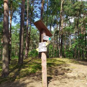 Obszar ochrony ścisłej Zaborów Leśny - obszaer ochrony scislej zaborow lesny1