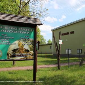 Ośrodek Dydaktyczno - Muzealny w Starym Załuczu - osrodek dydaktyczno muzealny poleskiego parku narodowego 1