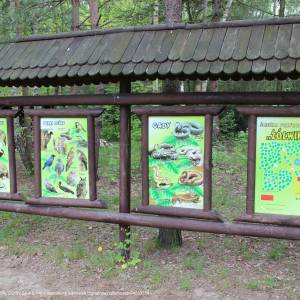 Ośrodek Dydaktyczno - Muzealny w Starym Załuczu - osrodek dydaktyczno muzealny poleskiego parku narodowego 18