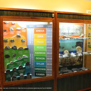 Ośrodek Dydaktyczno - Muzealny w Starym Załuczu - osrodek dydaktyczno muzealny poleskiego parku narodowego 2