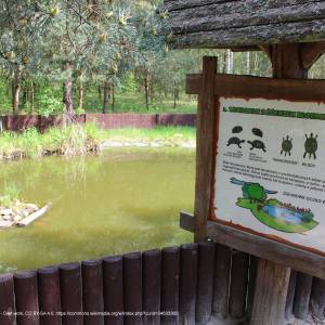 Ośrodek Dydaktyczno - Muzealny w Starym Załuczu - osrodek dydaktyczno muzealny poleskiego parku narodowego 22