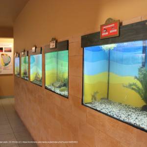 Ośrodek Dydaktyczno - Muzealny w Starym Załuczu - osrodek dydaktyczno muzealny poleskiego parku narodowego 3