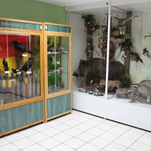 Ośrodek Dydaktyczno - Muzealny w Starym Załuczu - osrodek dydaktyczno muzealny poleskiego parku narodowego 8