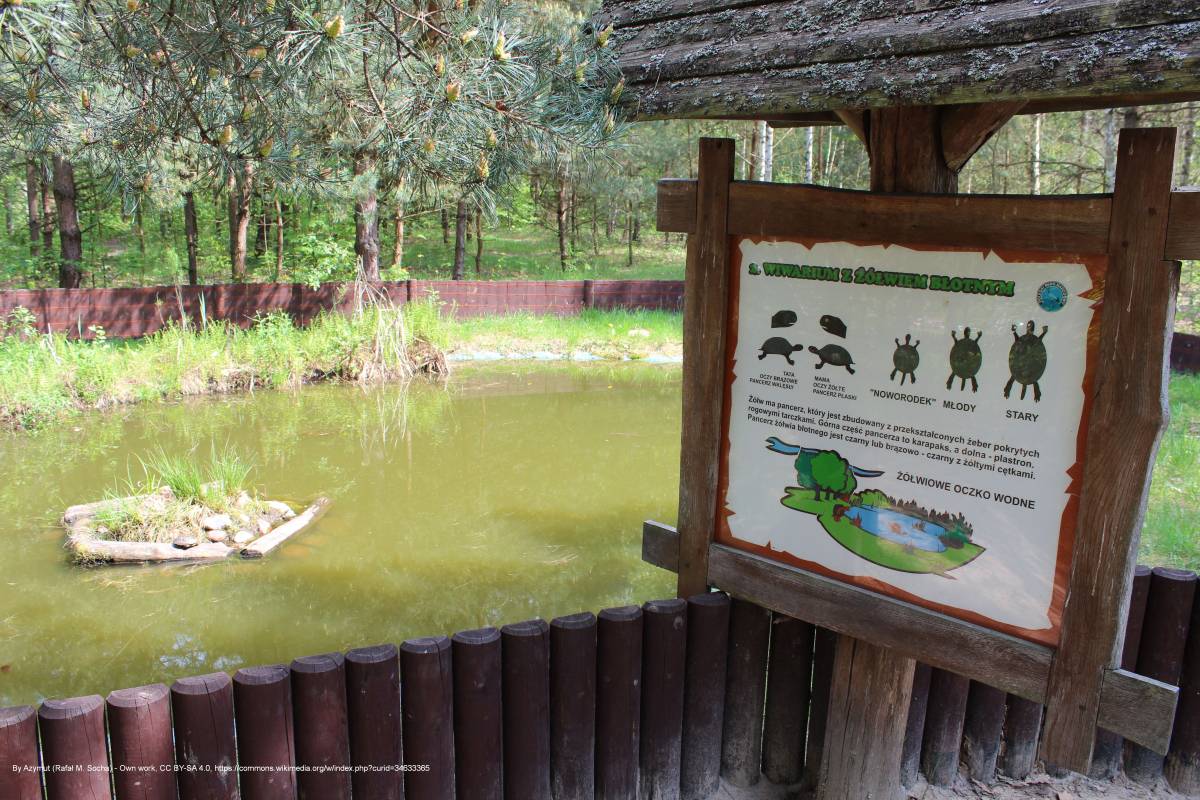 Ścieżka przyrodnicza "Żółwik" - osrodek dydaktyczno muzealny poleskiego parku narodowego 22