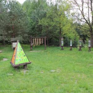 Ścieżka przyrodnicza "Żółwik" - osrodek dydaktyczno muzealny poleskiego parku narodowego 11