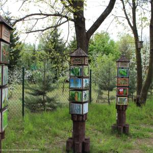 Ścieżka przyrodnicza "Żółwik" - osrodek dydaktyczno muzealny poleskiego parku narodowego 16