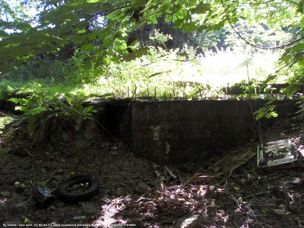 Twierdza Stachelberg - Schron T-St-S 71 - twierdza stachelberg schron t st s 71 3