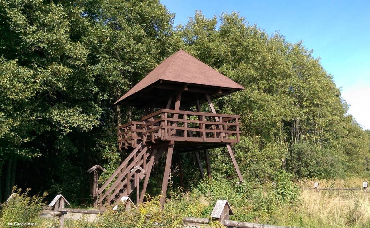 Wieża widokowa Kulczyn - wieza widokowa kulczyn7