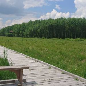 Wieża widokowa Kulczyn - wieza widokowa kulczyn1