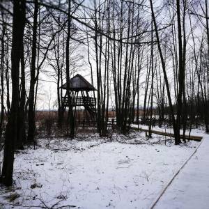 Wieża widokowa Kulczyn - wieza widokowa kulczyn3