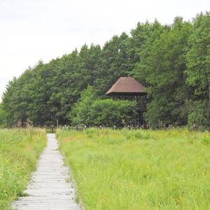 Wieża widokowa Kulczyn - wieza widokowa kulczyn4