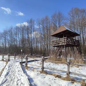 Wieża widokowa Kulczyn - wieza widokowa kulczyn6