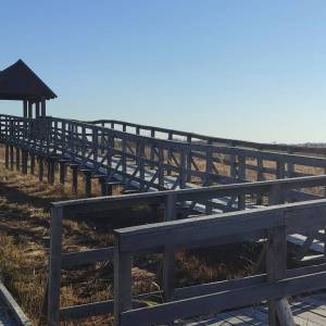 Platforma widokowa Bubnów Czahary - platforma widokowa bubnow czahary1