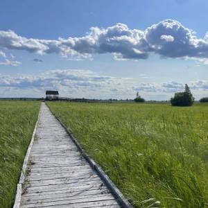 Platforma widokowa Bubnów Czahary - platforma widokowa bubnow czahary2