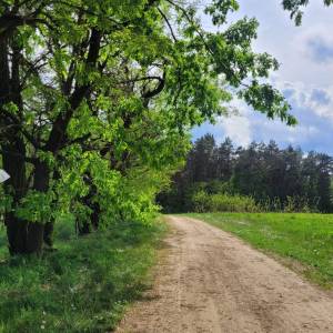 Ścieżka przyrodnicza "Perehod" - sciezka przyrodnicza perehod 3