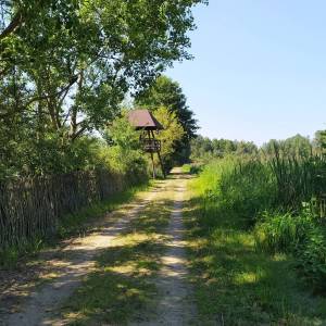 Ścieżka przyrodnicza "Perehod" - sciezka przyrodnicza perehod 8