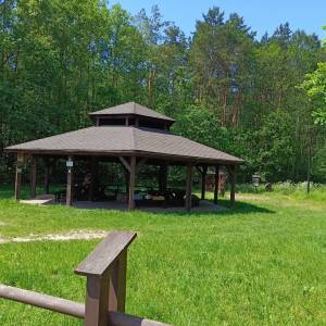 Ścieżka przyrodnicza "Dąb Dominik" - sciezka przyrodnicza dab dominik4