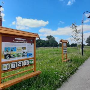 Ośrodek Edukacji Przyrodniczej w Umianowicach - osrodek edukacji przyrodniczej w umianowicach 2