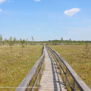 Jezioro Moszne - dab dominik trail 24