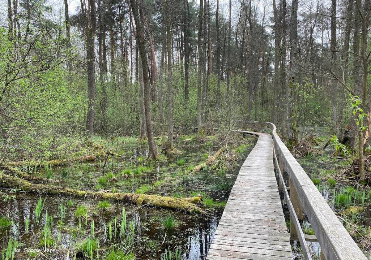 Ścieżka przyrodniczo-historyczna "Obóz Powstańczy" - sciezka przyrodniczo historyczna oboz powstanczy6