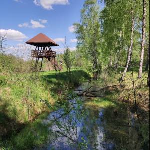Ścieżka przyrodniczo-historyczna "Obóz Powstańczy" - sciezka przyrodniczo historyczna oboz powstanczy2
