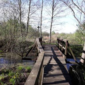 Ścieżka przyrodniczo-historyczna "Obóz Powstańczy" - sciezka przyrodniczo historyczna oboz powstanczy5