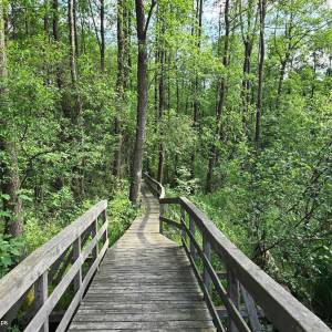 Ścieżka przyrodniczo-historyczna "Obóz Powstańczy" - sciezka przyrodniczo historyczna oboz powstanczy 1