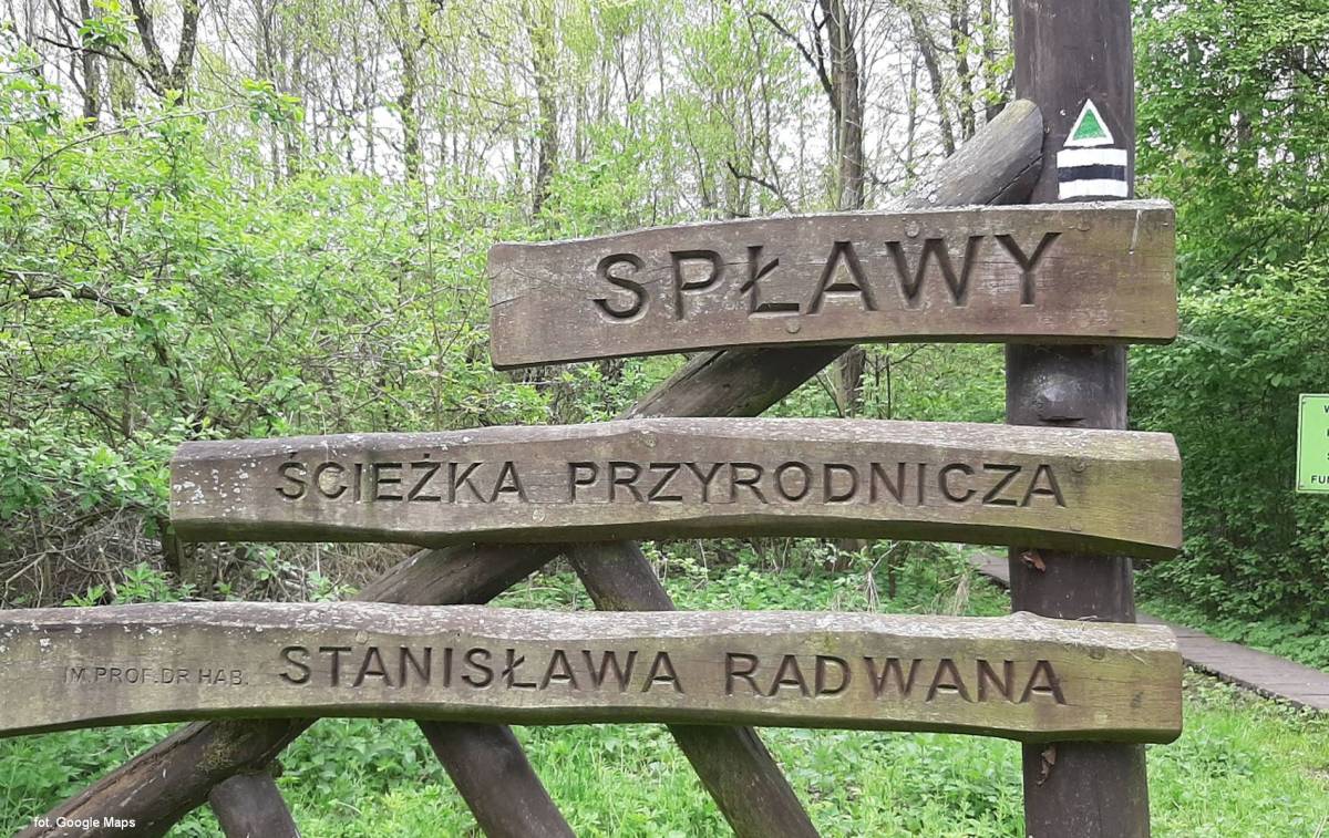 Ścieżka przyrodnicza „Spławy” - sciezka przyrodnicza splawy 2
