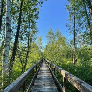 Ścieżka przyrodnicza „Spławy” - sciezka przyrodnicza splawy 1