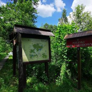 Ścieżka przyrodnicza „Spławy” - sciezka przyrodnicza splawy 6