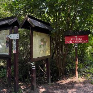 Ścieżka przyrodnicza „Spławy” - sciezka przyrodnicza splawy 7