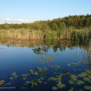 Jezioro Łukie - lukie lake