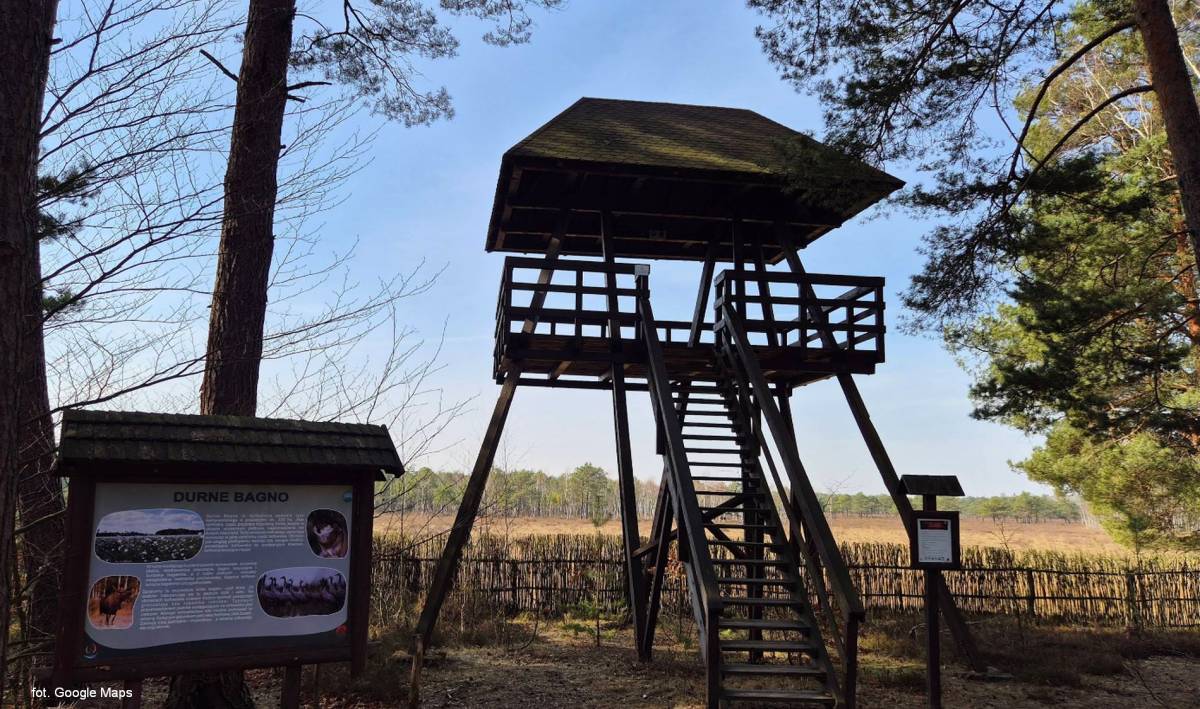 Wieża widokowa "Durne Bagno" - wieza widokowa durne bagno6