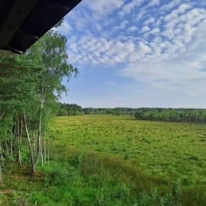 Wieża widokowa "Durne Bagno" - wieza widokowa durne bagno2