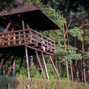 Wieża widokowa "Durne Bagno" - wieza widokowa durne bagno3