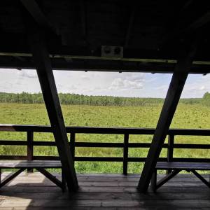 Wieża widokowa "Durne Bagno" - wieza widokowa durne bagno4