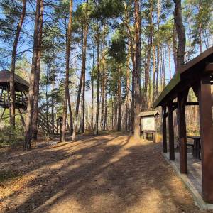 Wieża widokowa "Durne Bagno" - wieza widokowa durne bagno5