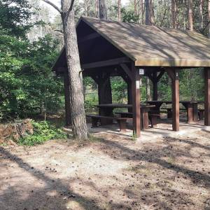 Wieża widokowa "Durne Bagno" - wieza widokowa durne bagno5jpg