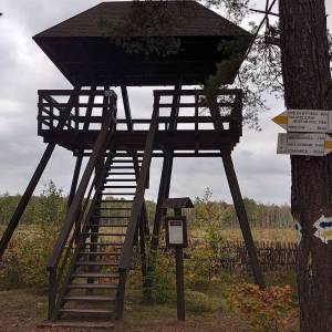Wieża widokowa "Durne Bagno" - wieza widokowa durne bagno7