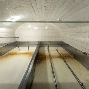 Lubuskie Muzeum Browarnictwa w Witnicy - lubuskie muzeum browarnictwa w witnicy 6