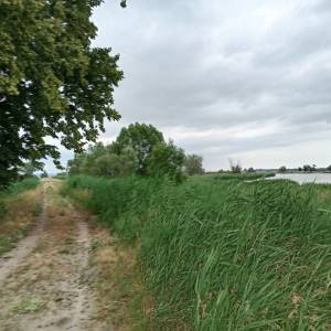 Wiata „Prądy” w PN "Ujście Warty" - wiata prady w pn ujscie warty 10