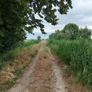 Wiata „Prądy” w PN "Ujście Warty" - wiata prady w pn ujscie warty 7