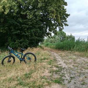 Wiata „Prądy” w PN "Ujście Warty" - wiata prady w pn ujscie warty 8