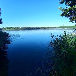 Jezioro Kursko - jezioro kursko 2025 1