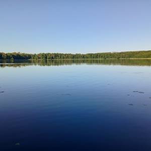 Jezioro Kursko - jezioro kursko 2025 4