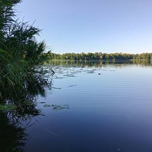 Jezioro Kursko - jezioro kursko 2025 5