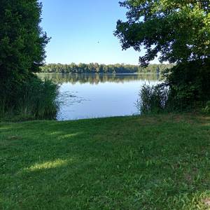 Jezioro Kursko - plaza nad jeziorem kursko 14