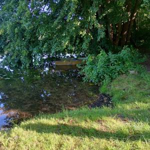 Jezioro Kursko - plaza nad jeziorem kursko 8